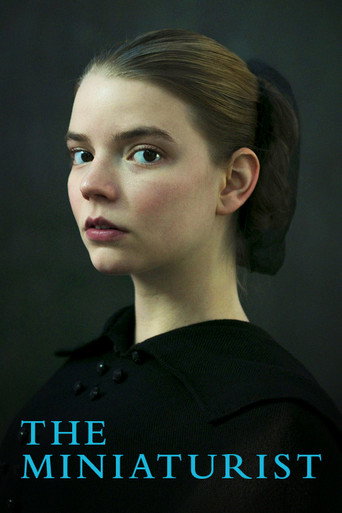 Assistir The Miniaturist online dublado e legendado