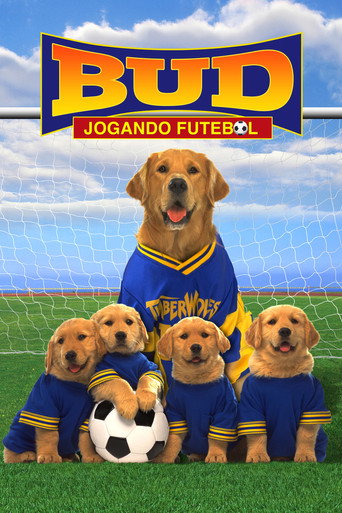 Assistir Bud 3: Jogando Futebol online dublado e legendado