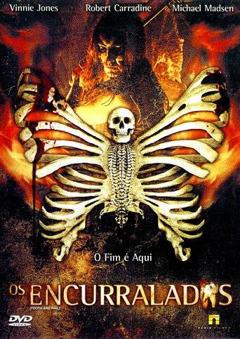 Assistir Os Encurralados online dublado e legendado