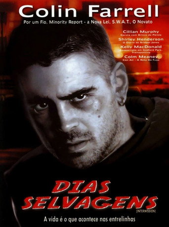 Poster de Dias Selvagens