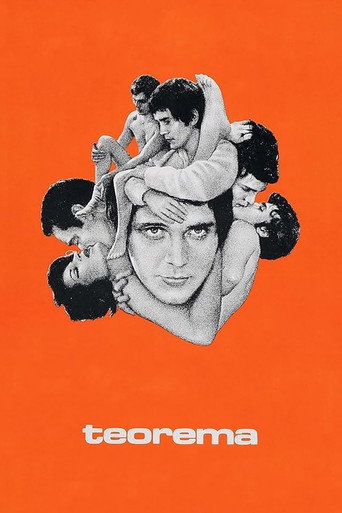 Poster de Teorema