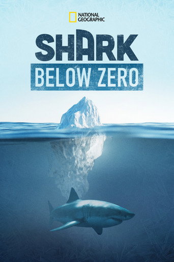 Assistir Shark Below Zero online dublado e legendado