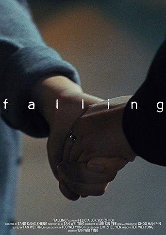 Assistir Falling online dublado e legendado