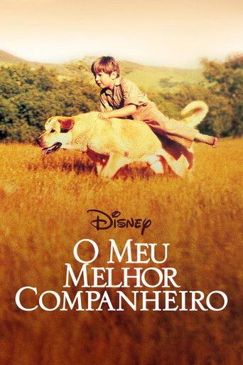 Poster de O Meu Melhor Companheiro