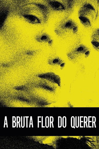 Assistir A Bruta Flor do Querer online dublado e legendado
