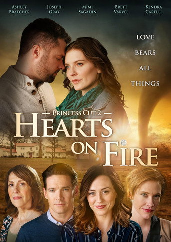 Assistir Princess Cut 2: Hearts on Fire online dublado e legendado