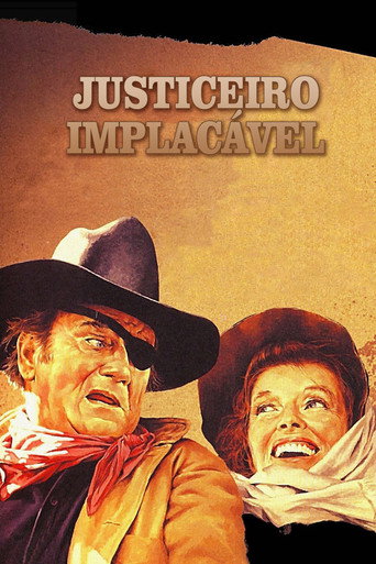 Poster de Justiceiro Implacável