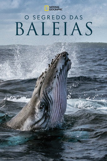 Assistir O Segredo das Baleias online dublado e legendado