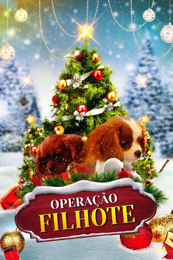 Assistir Operação Filhote online dublado e legendado