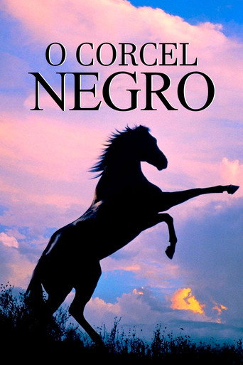 Poster de O Corcel Negro