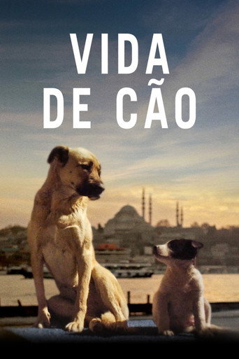 Assistir Vida de Cão online dublado e legendado