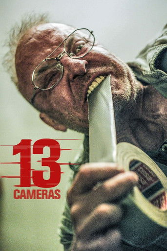 Assistir 13 Câmeras online dublado e legendado