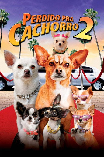 Poster de Perdido pra Cachorro 2