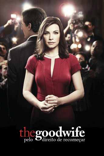Assistir The Good Wife online dublado e legendado