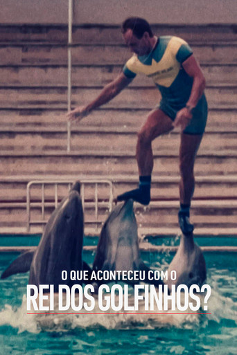 Assistir O Que Aconteceu com o Rei dos Golfinhos? online dublado e legendado