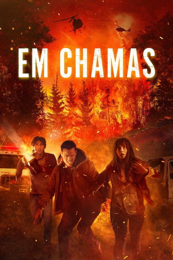 Poster de Em Chamas