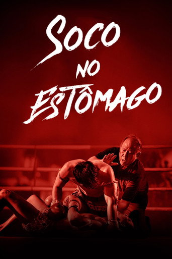 Assistir Soco no Estômago online dublado e legendado