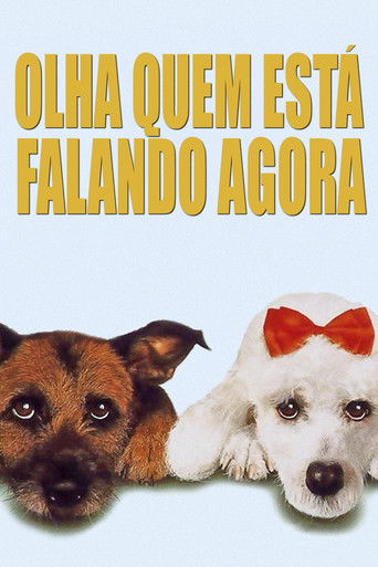 Assistir Olha Quem Está Falando Agora online dublado e legendado
