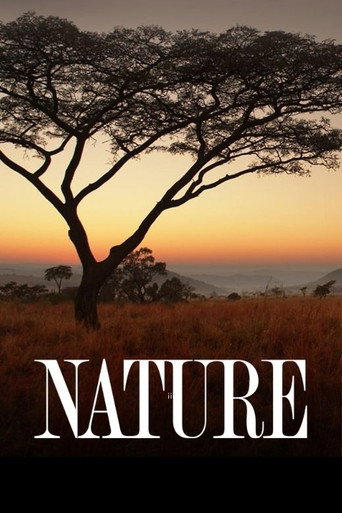 Poster de Nature