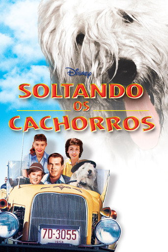 Poster de Felpudo, O Cão Feiticeiro