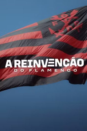 Assistir A Reinvenção do Flamengo online dublado e legendado