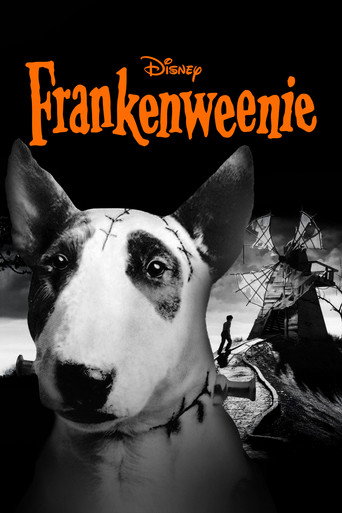 Poster de Frankenweenie