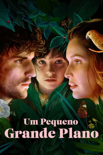 Assistir Um Pequeno Grande Plano online dublado e legendado