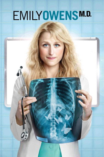 Poster de Emily Owens, M.D.