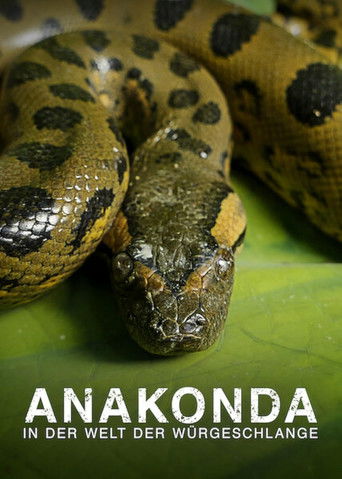 Assistir Anaconda: Assassina Silenciosa online dublado e legendado
