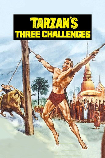 Assistir Os Três Desafios De Tarzan online dublado e legendado