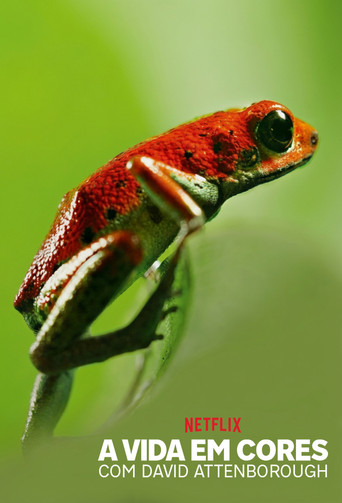 Assistir A Vida em Cores com David Attenborough online dublado e legendado