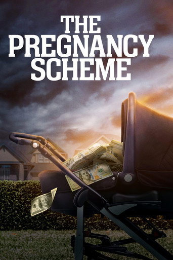 Assistir The Pregnancy Scheme online dublado e legendado
