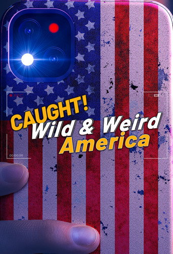 Assistir Caught! Wild & Weird America online dublado e legendado