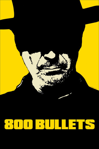 Poster de 800 Bullets