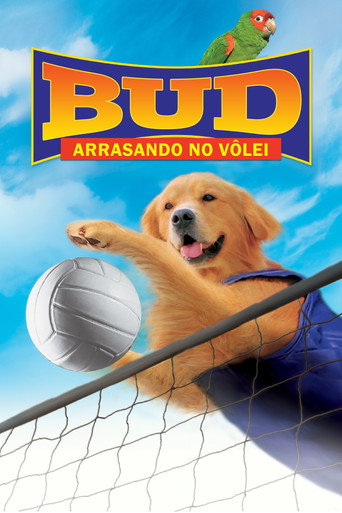 Assistir Bud 5: Arrasando no Vôlei! online dublado e legendado