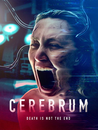 Assistir Cerebrum online dublado e legendado
