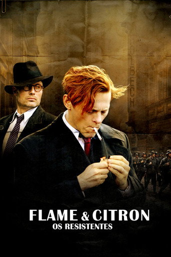 Poster de Flame & Citron - Os Resistentes