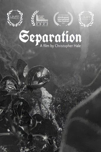 Assistir Separation online dublado e legendado