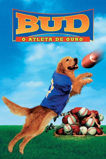 Assistir Bud 2: O Atleta de Ouro online dublado e legendado