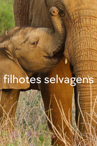 Assistir Filhotes Selvagens online dublado e legendado