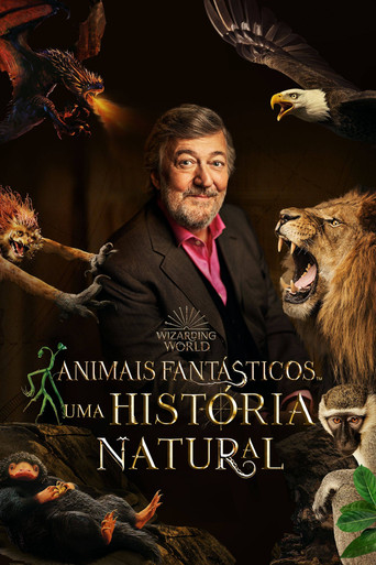 Poster de Animais Fantásticos Uma História Natural