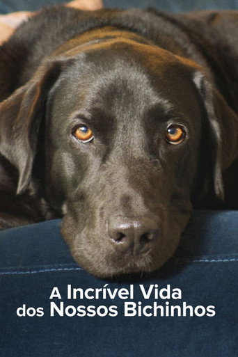 Assistir A Incrível Vida dos Nossos Bichinhos online dublado e legendado