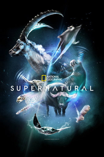 Poster de Super Natural