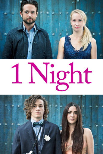Poster de 1 Night