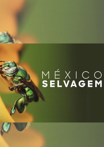 Assistir México Selvagem online dublado e legendado