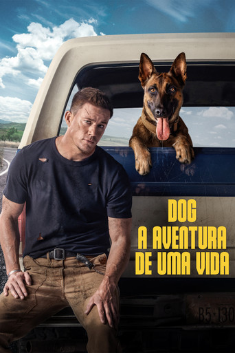 Poster de Dog - A Aventura de Uma Vida