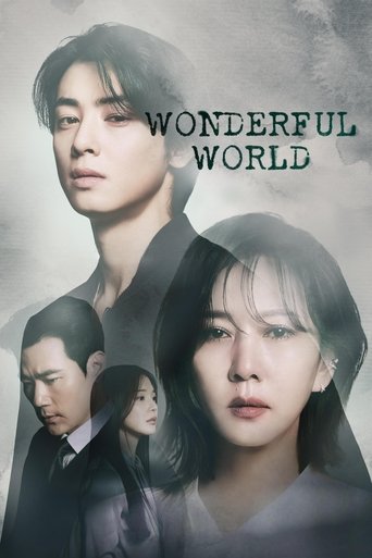 Poster de Wonderful World