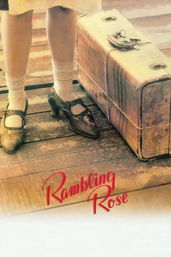 Poster de As Noites de Rose