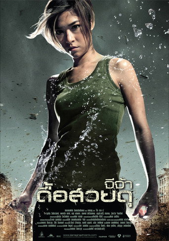 Assistir A Fênix Furiosa online dublado e legendado
