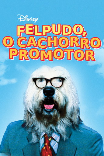 Assistir Felpudo - O  Cachorro Promotor online dublado e legendado
